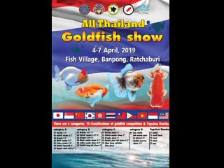 2 all thailand goldfish show 2019