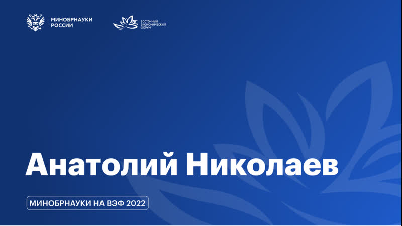 Вэф / интервью с анатолием николаевым