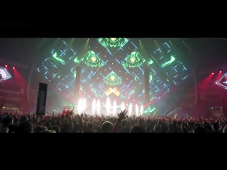Vini vici amf