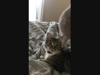 He’s so persistent