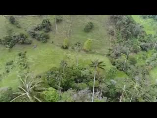 Pastor lópez no importa