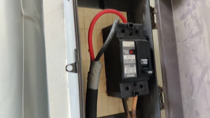 Бочик потик, огромный японский пажилой паук