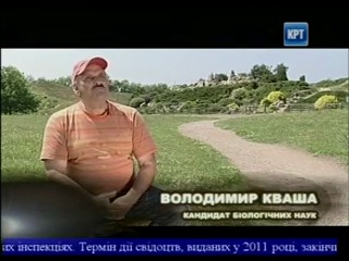 Життя porn video – Палітра життя