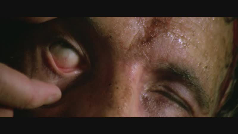 Седьмые врата ада (фильм ужасов) реж лючио фульчи 1981