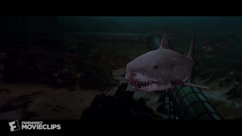 Best scene the exploding shark jaws 3 d (9/9)