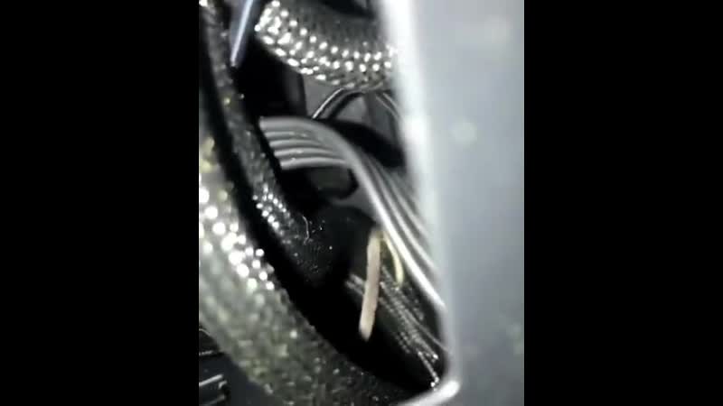 Компьютерная мышка!