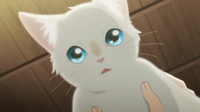 Аниме сквозь слезы я притворяюсь кошкой