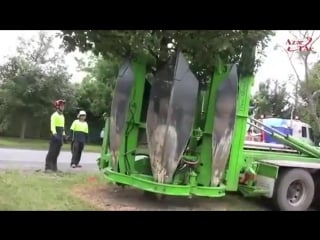 Машина для пересадки деревьев