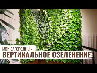 Вертикальное озеленение / мой загородный / #37