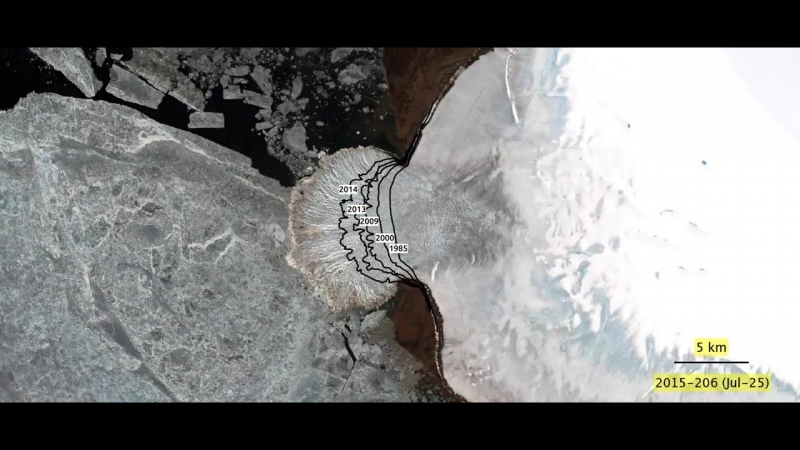 Таяние ледника вавилова