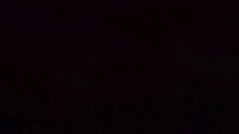 Коты porn video – Ебутся коты