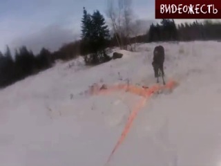 Лось пробил лося (с) видеожесть