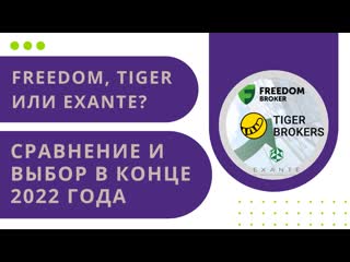 Выбор в 2023 году брокеров для белорусов и россиян freedom finance europe, exante и tiger brokers