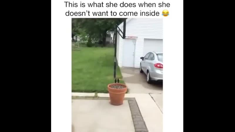 Pооr littlе girl wants tо kееp playing