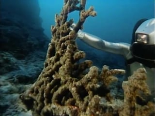 Повторное открытие мира #22 андаманские острова невидимые острова