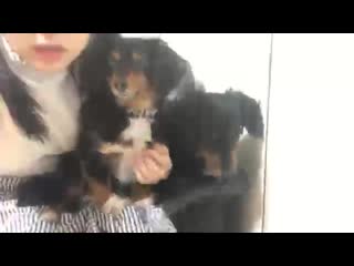 170430 showroom hkt48 team h tanaka miku 1827