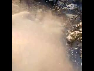 Ex3m club 20191122 1 mp4