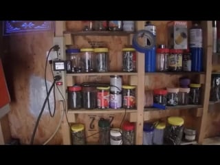 Diy childrens step stool from pallet wood