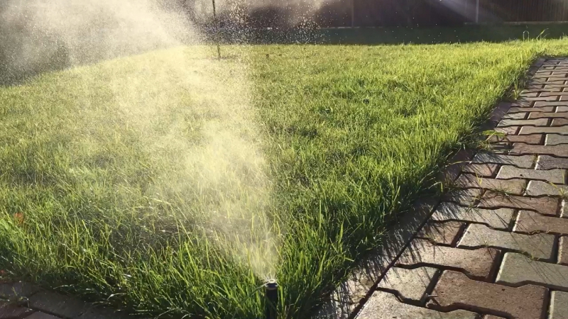 Консервация в г иваново