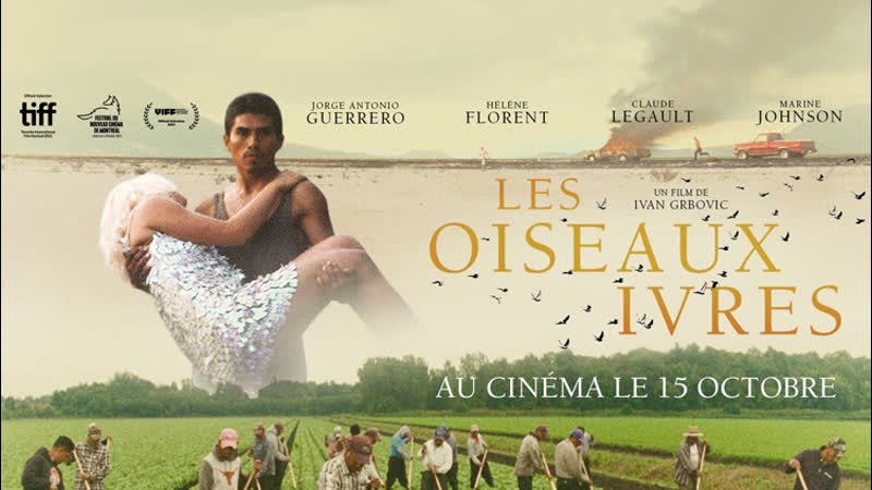 Пьяные пташки (2021) les oiseaux ivres (drunken birds)