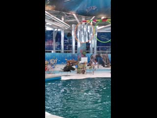 Vid 20201031 163311 mp4