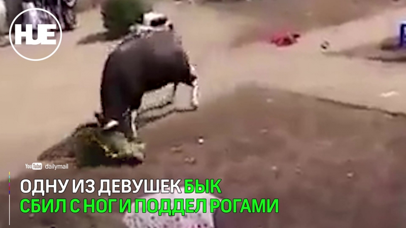 Огромный буйвол напал на толпу туристов в индии