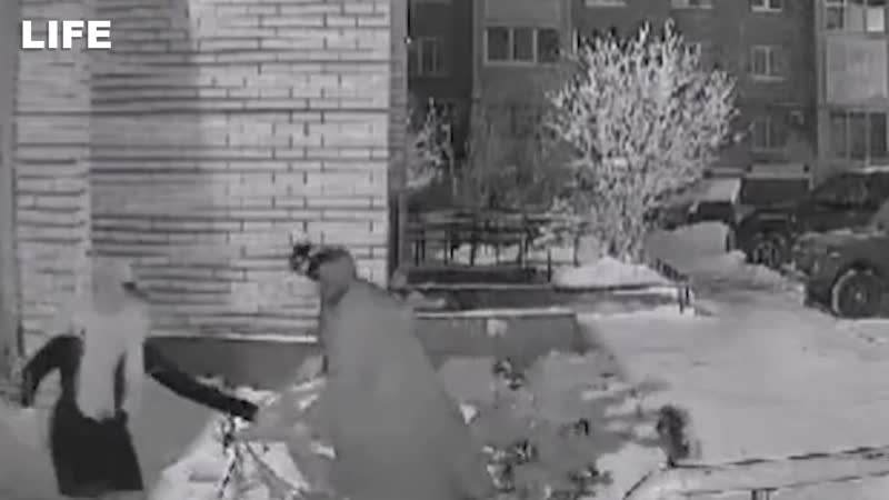 В оренбурге разыскивают подружек, которые похитили ёлку