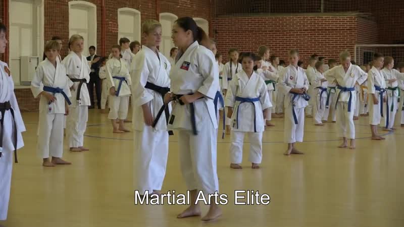 Seminar 22 medvedeva anna shotokan karate part 1