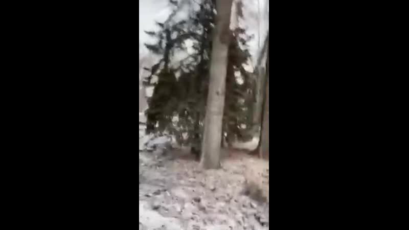 «коллеги, это пи@@ец» мэр липецка рассказала подчинённым как нужно работать