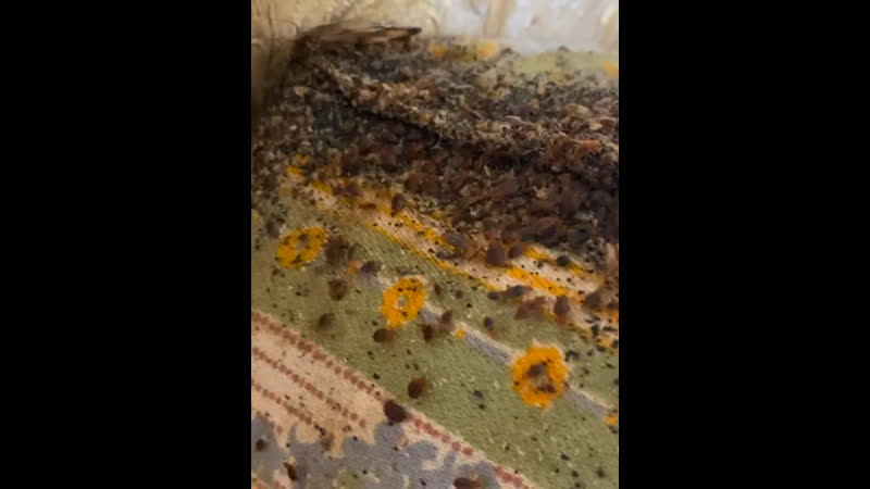 Нельзя 🚫 оттягивать обработку