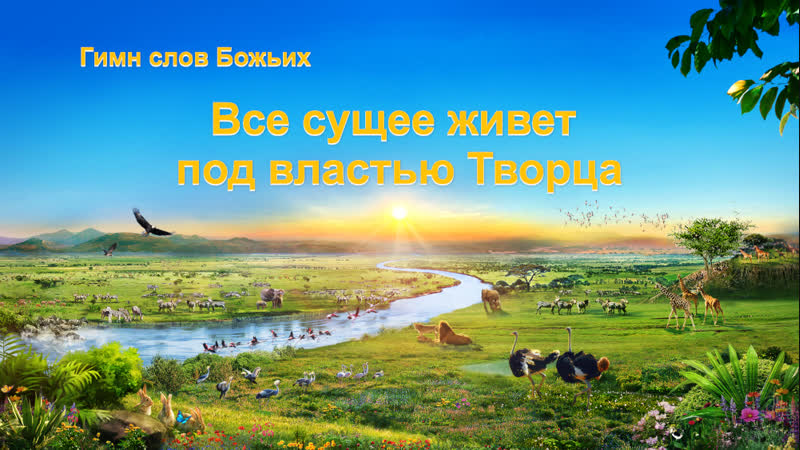 Восточная молния｜христианские песни «все сущее живет под властью творца» бог – основа всех вещей