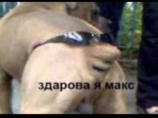 Отправь своему лучшему другу