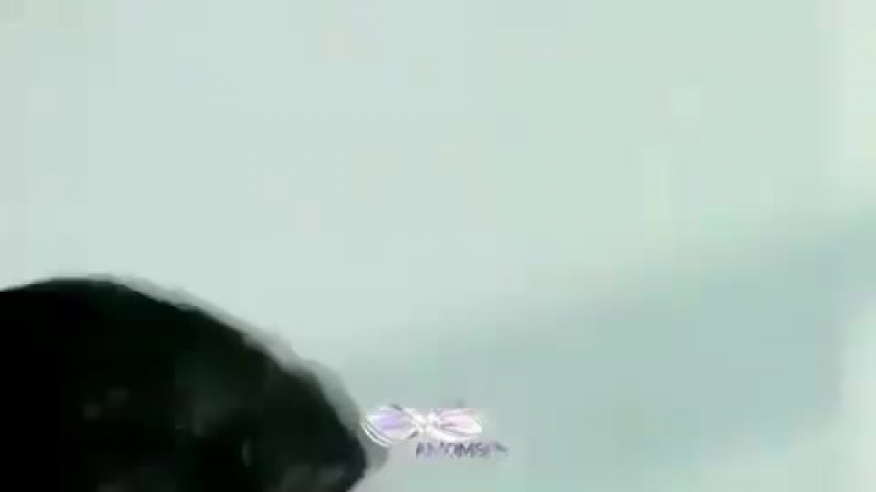 Emire, cok haksizlik oldu, cok 😢💔😢💔😢💔 boyle guzel москва