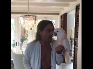 Iggy pop sings surfin bird