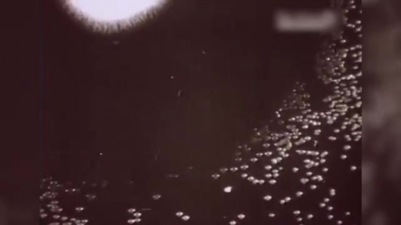 Эффект бабочки это видео изменит вашу жизнь