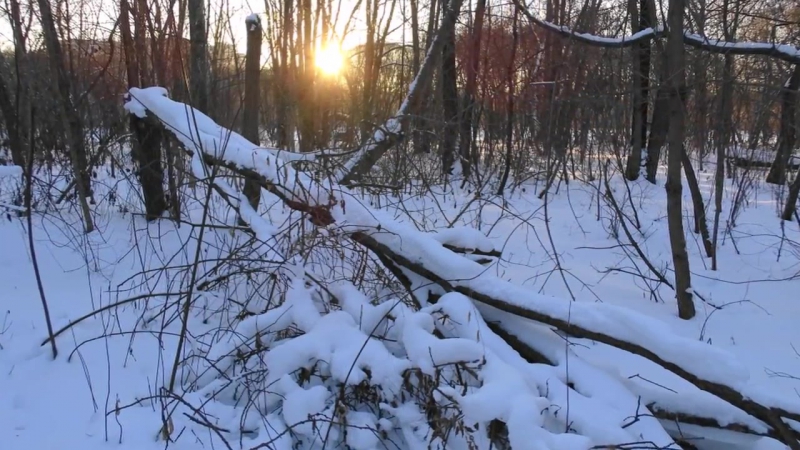 Покровское стрешнево