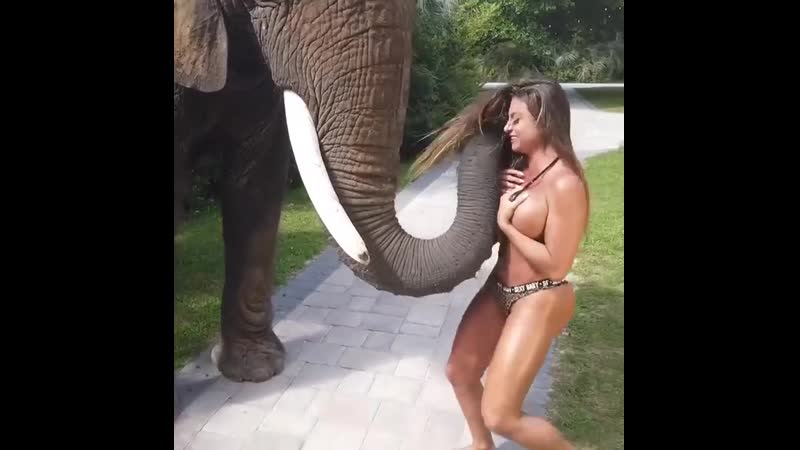 Vidos porn video – Rju vidos слон тоже любит сиськи