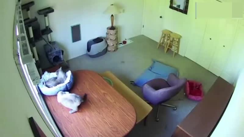 Когда кто то занял твоё место