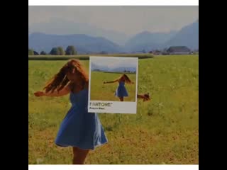 Lia pappas kemps vine