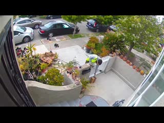 Having an amazon driver who delivers and then steals your packages