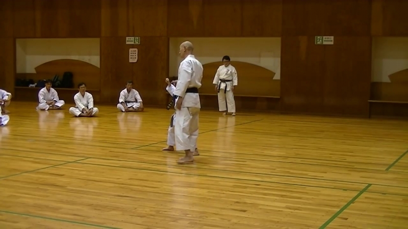 Jkf 平安初段 heian shodan seminar by noboru kato 2017 05 20@nagaoka 全空連基本形三
