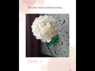 Red koshka flowers 20200305 1 mp4