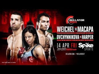 Lena ovchynnikova vs helen harper bellator 177 highlights