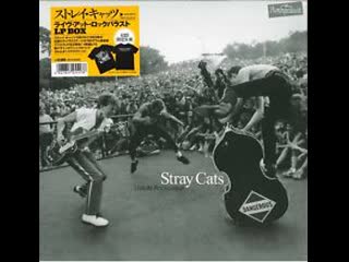 Stray cats she's sexy and 17 (live at rockpalast 1983 loreley open air)