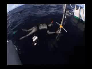 Freediving 160m tanya streeter 17 08 2002 no limits