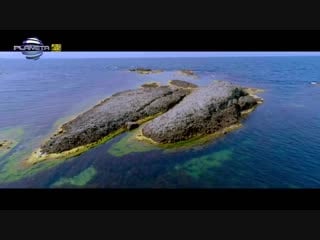 Tedi aleksandrova tsyalo lyato,