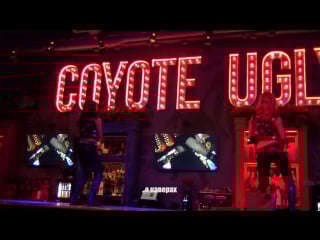 The lust theodor & yan interview (2017)