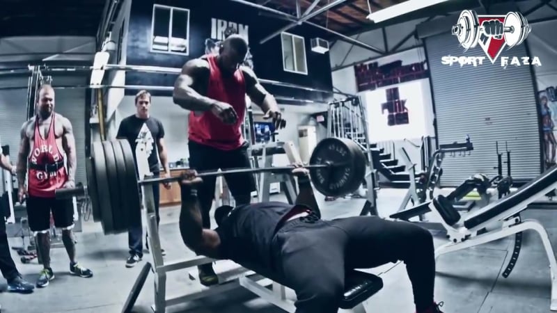 Майк рашид + флекс уиллер "хайлайт тренирои груди" (rus sportfaza)