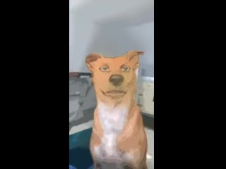 Аниме фильтр на собаке (vhs video)