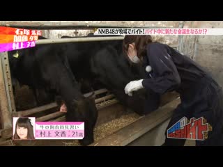 (nmb48) nmb no meccha baito ep11 140923